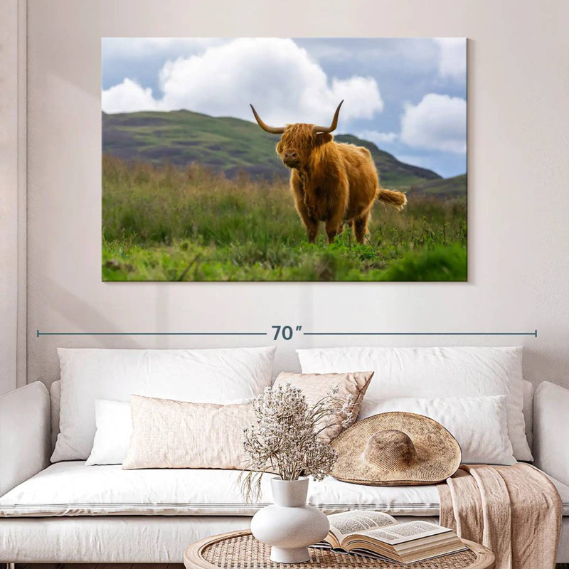 Vache écossaise Highland, H 34 po x l 51 po