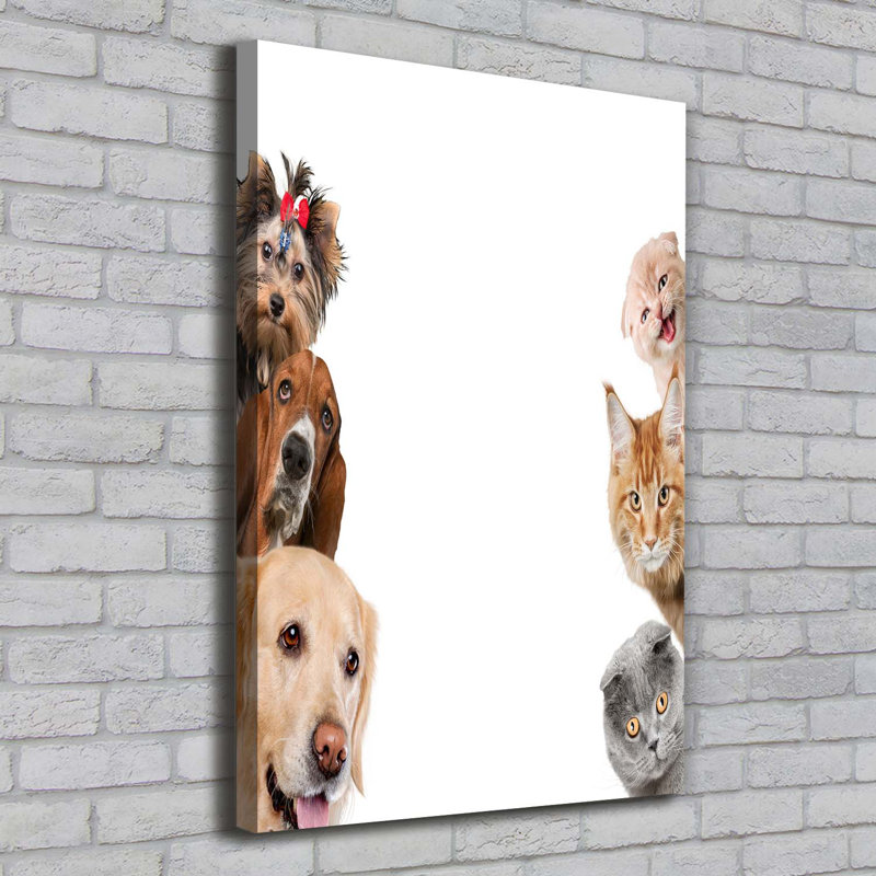 Dogs And Cats - Wrapped Canvas Print