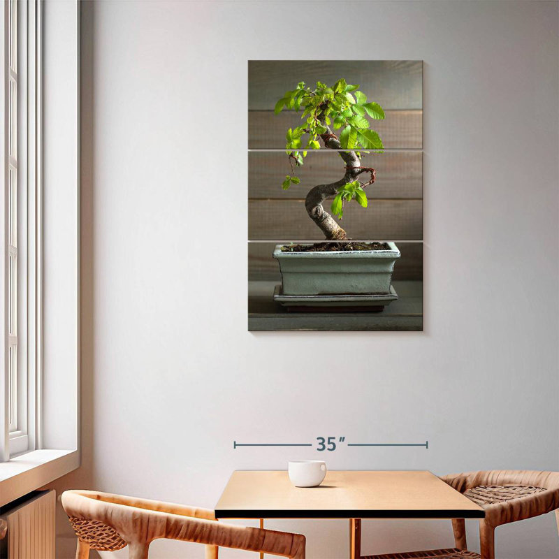Harnek Bonsai Tree In A Pot