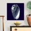 « Indigo shells V » par vision studio-impression-567973459-567973487