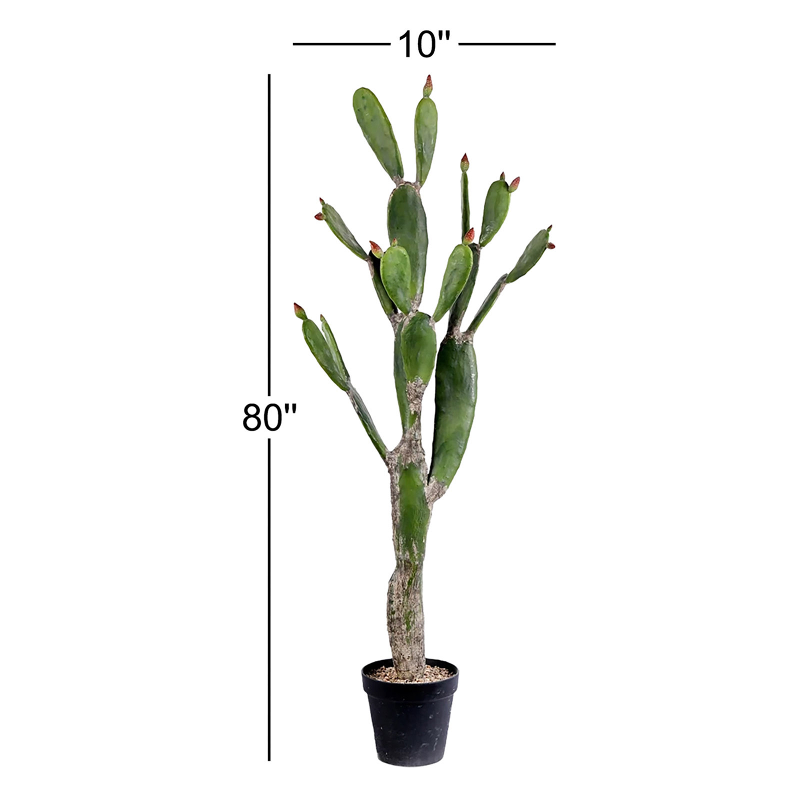 Cactus Plant in Pot, 80" H x 10" W x 17" D