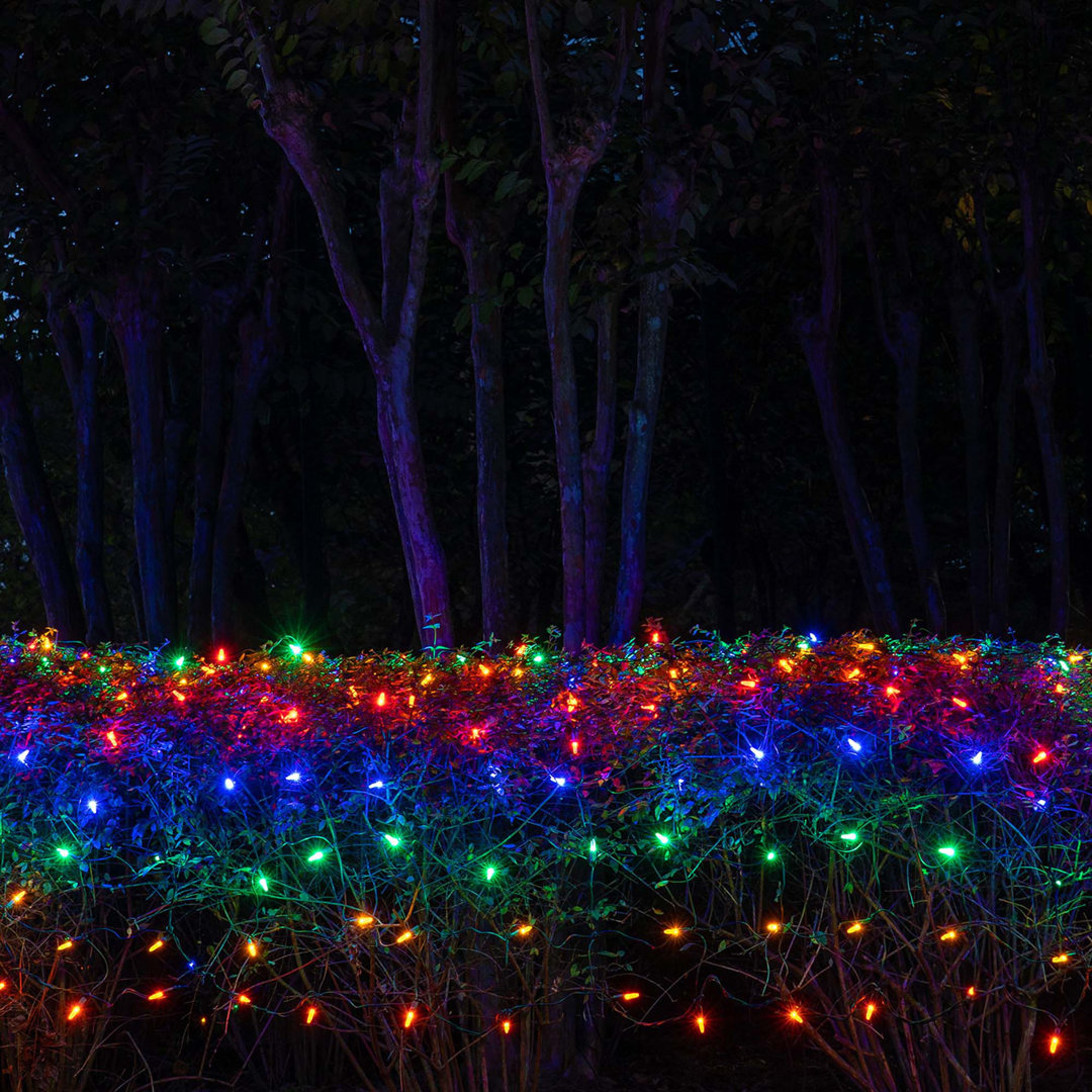 100 LED Christmas Net Light The Holiday Aisle®