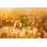 Huile sur toile - Fleurs de camomille par Nongkran_Ch - Peinture sur toile tendue