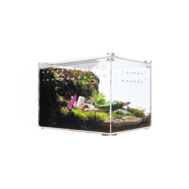 Acrylic Reptile Terrarium, 1 Gallon - 8"H x 6"W x 6"D