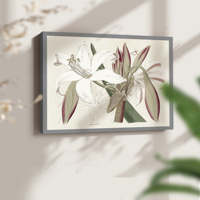 Amaryllis Varietals II - Reproduction encadrée - Restickable