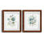 Linen Botanical I - Ensemble de 2 reproductions d'art-1969708310-1969708311-1969708315