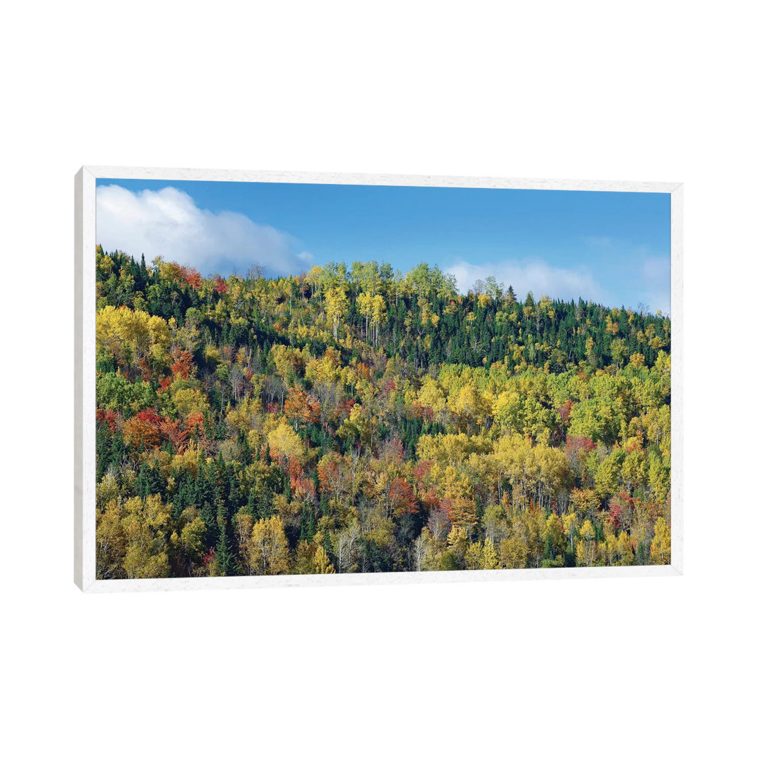 Herbstfarben, Chic-Chocs, Quebec, Kanada von Tim Fitzharris - Gallery-Wrapped Canvas Giclée on Canvas