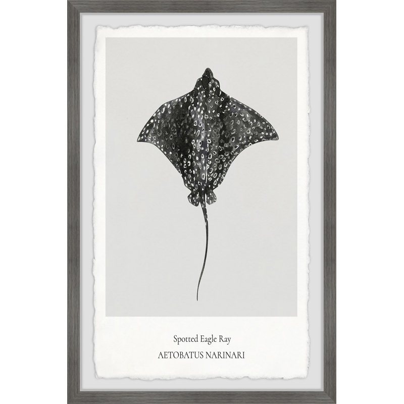 Dardanelle Print