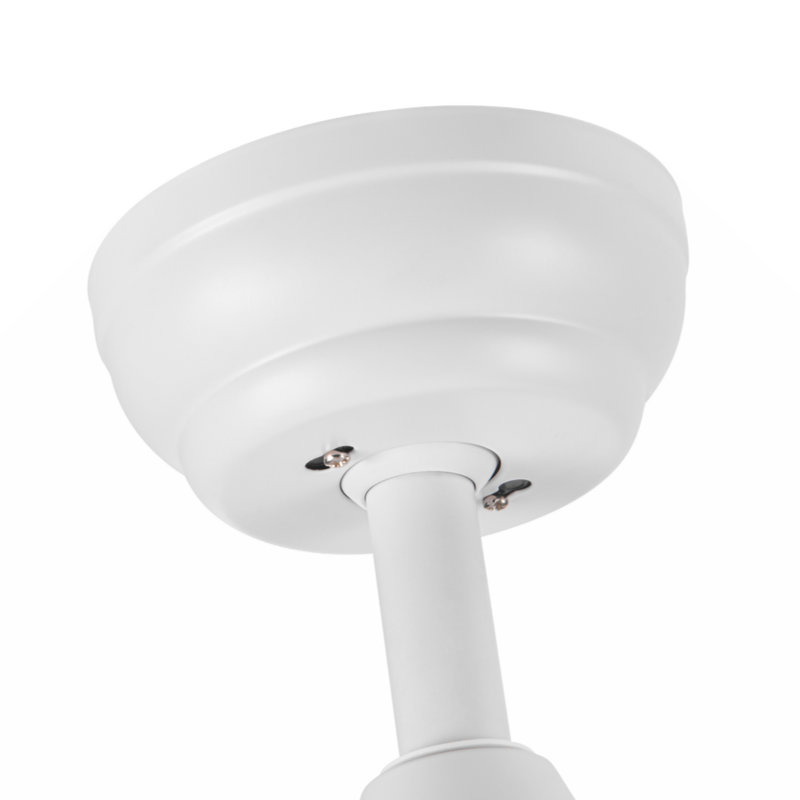 Kiry 60'' Ceiling Fan with LED Lights, White