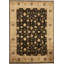 Dharma Oriental Area Rug
