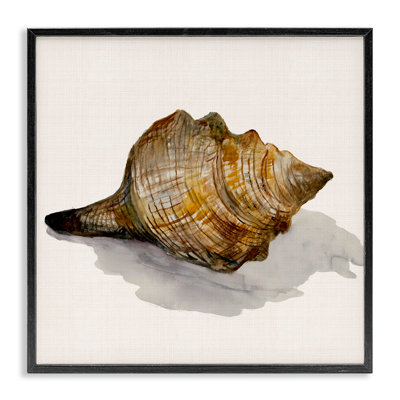  Conch Shell on Framed Giclee Art by Jacob Q