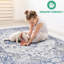 Tapis 8 x 10 avec couleur bleue / grise-1762244543