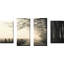 "Hyatt Lane" par Nicholas Bell, ensemble de 4 reproductions sur toiles-63562988