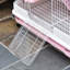 Cage avec rampe Caines Chinchilla-2584867-40463615