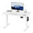 Alvana 100Cm W Height Adjustable Rectangular Standing Desk