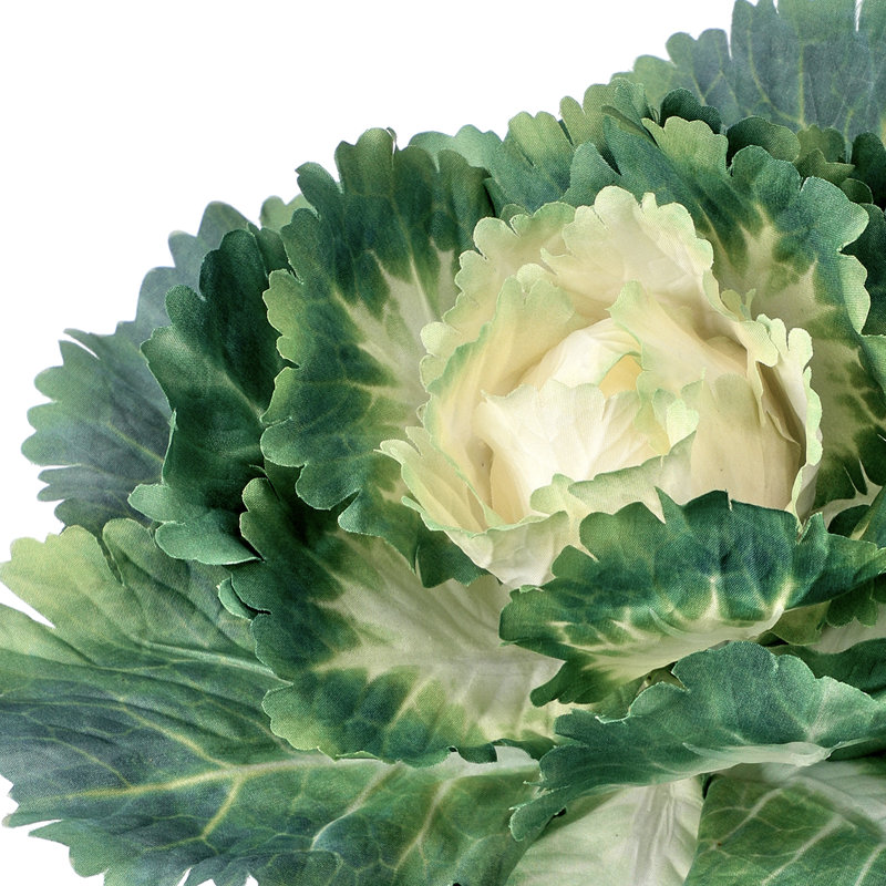 Piqûre ornementale chou frisé, Vert