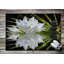 Non-Slip Floral Outdoor Doormat