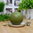 Unscented Novelty Candle-16355655-16355653-16355658