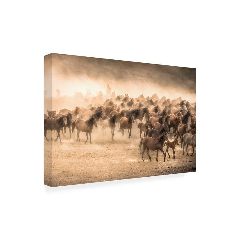 Art sur toile Tunc Tuncel YILKI, H 16 po x l 24 po
