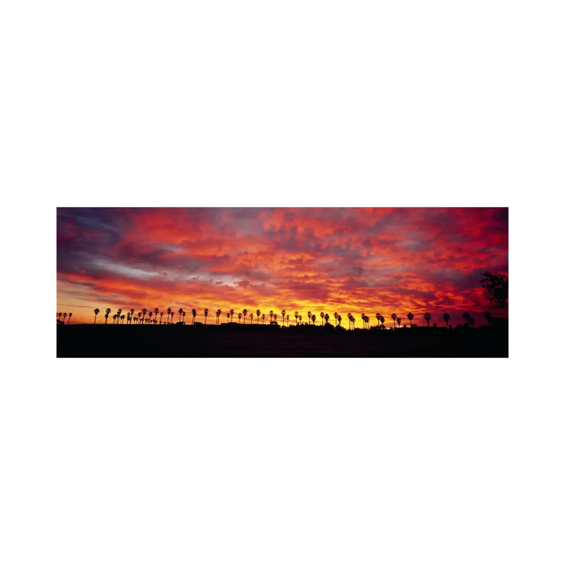 Silhouette Of Palm Trees At Sunrise, San Diego, San Diego County, California, USA by Panoramic Images - Wrapped Canvas Panoramic Gallery-Wrapped Canvas Giclée