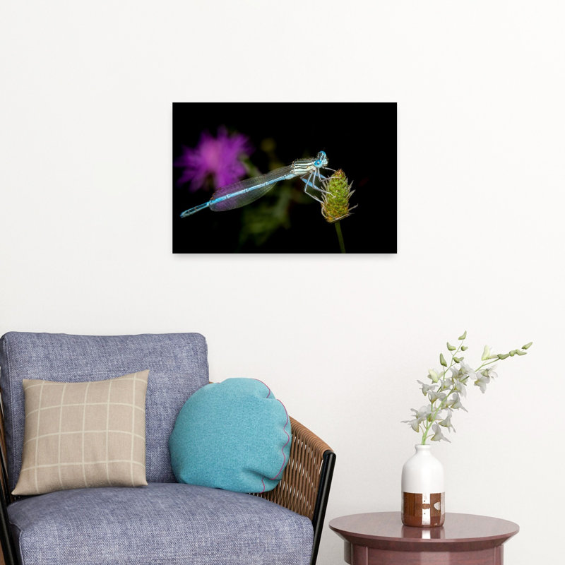 Delicate Blue Damselfly Delicate Serene Tranquil Animal Flower Wall Art Print by Eduard Andrica - Print