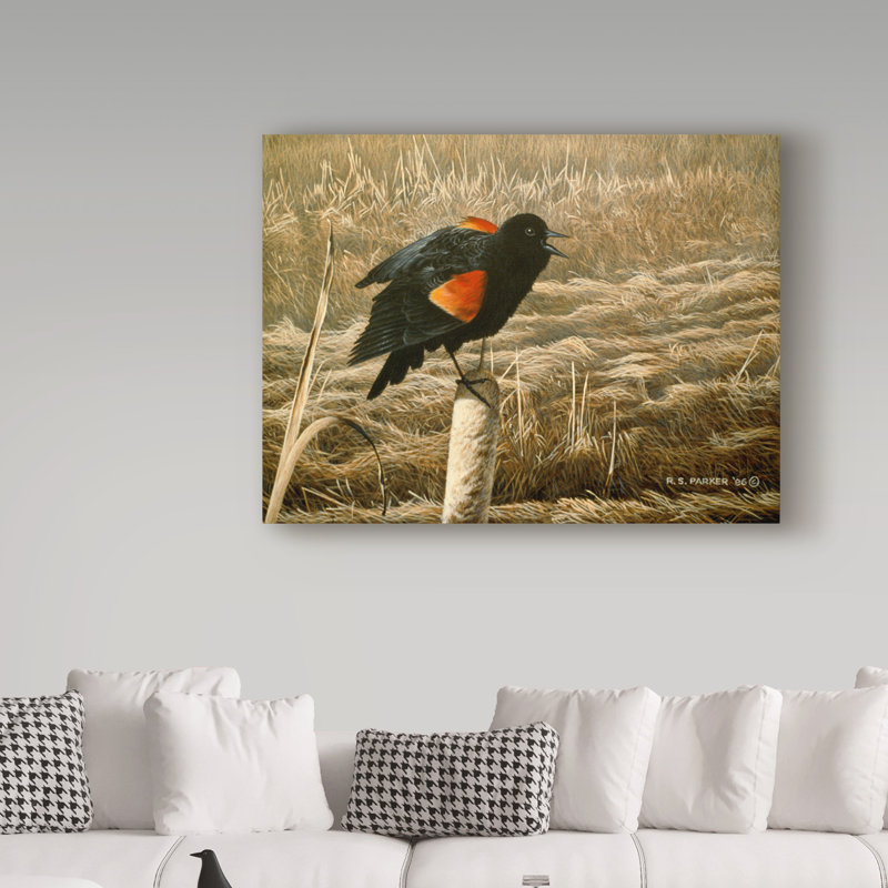 «Red Winged Blackbird» par Etelca, impression sur toile tendue, H 35 po x l 47 po x P 2 po
