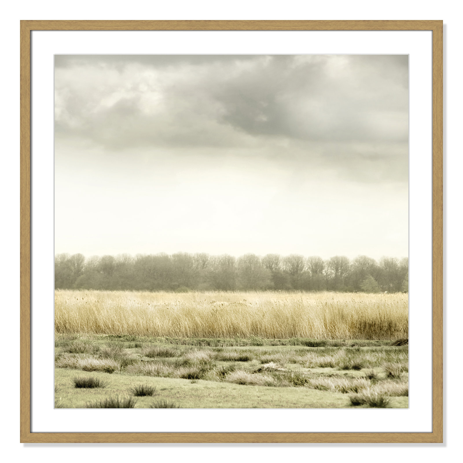 Henri "Meadowland" Print by Danita Delimont, 32" H x 32" W, Natural Wood Grain