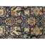 Magnolia Wool Oriental Area Rug in Blue/Brown