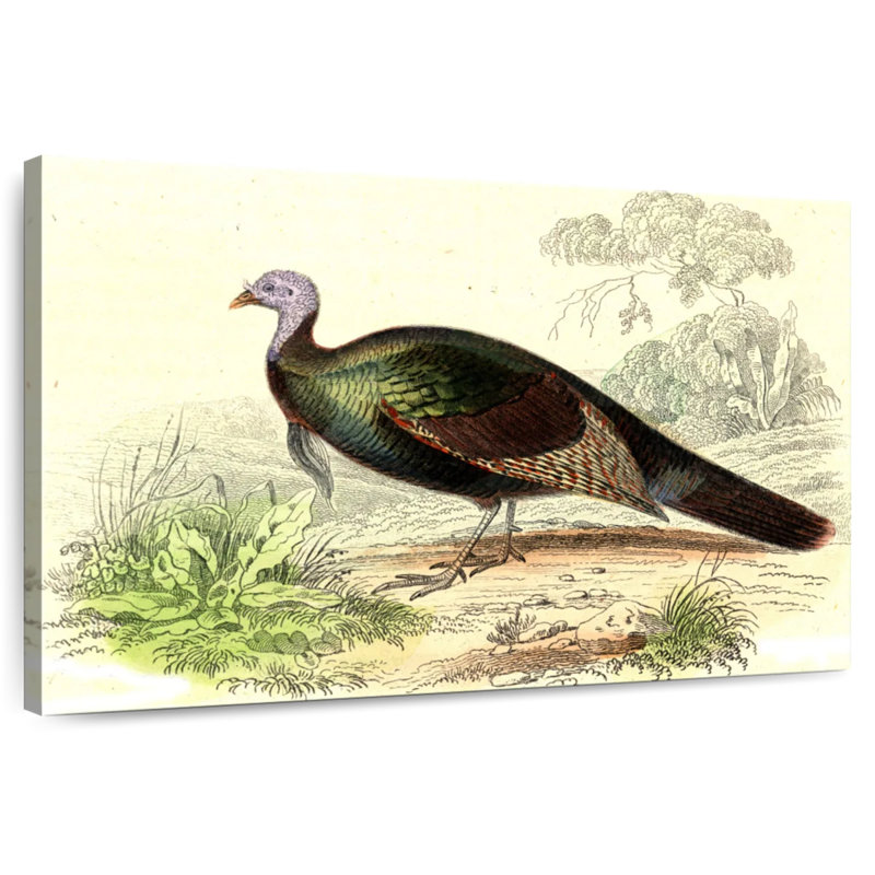 Brampt Wild Turkey, 8" H x 12" W