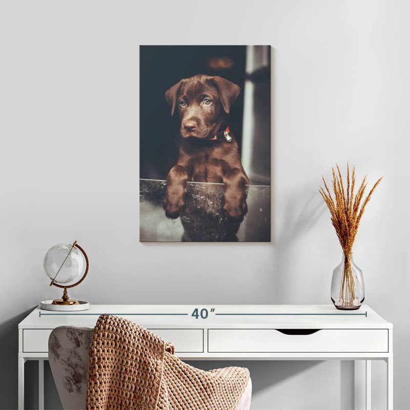 Brampt Chocolate Labrador Puppy, 24" H x 16" W
