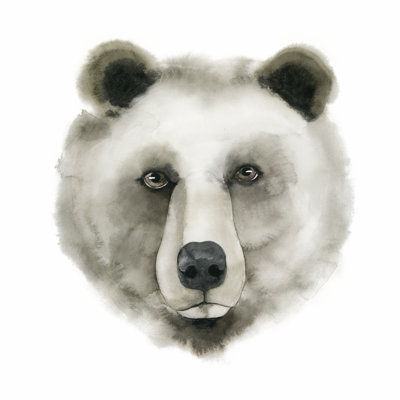 Ours aquarelle