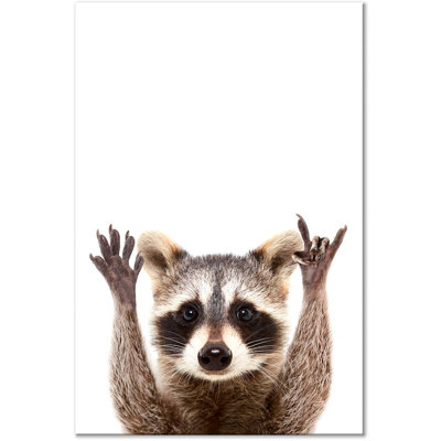 Raccoon - Print on Canvas