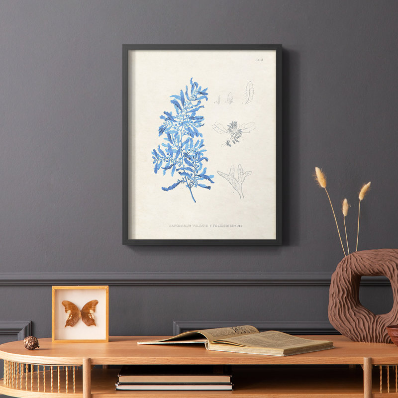 «Blue Marine Algae VI», reproduction encadrée - bois massif, Cadre simple noir, H 28 po x l 22 po