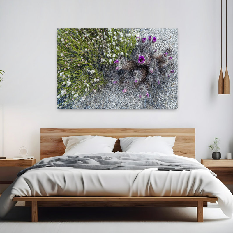 Wildflowers In A Desert Joshua Tree National Park San Bernardino County Riverside County Southern California California USA by Scott M. Tansey - Wrapped Canvas Print