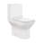 Carre One Piece Square Toilet Dual Flush 1.1/1.6 gpf in Matte White