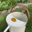 Metal Watering Can