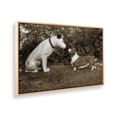 Want to Play by Jim Dratfield Canvas Art Print