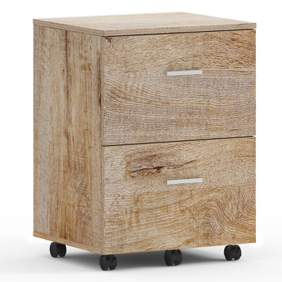 Demetres 2 Drawer Storage Drawer