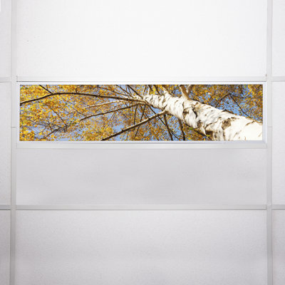 Tree Rectangle Fixture Component Ceiling Light