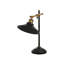 Lenius Metal Desk Lamp