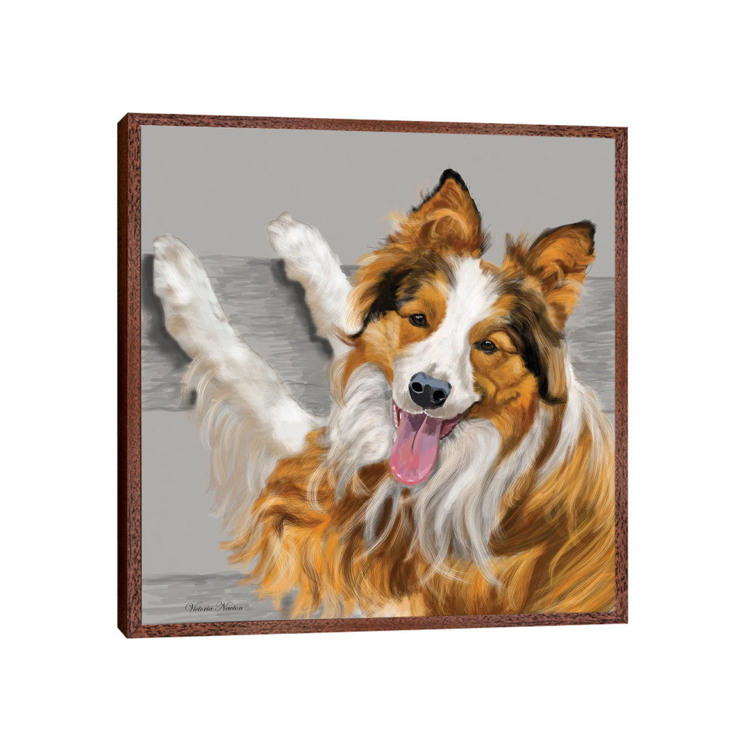 Collie von Vicki Newton - Galerie-verpackte Leinwand Giclée