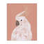 Cockatiel sur toile rose par Chen Alyesh-408634938