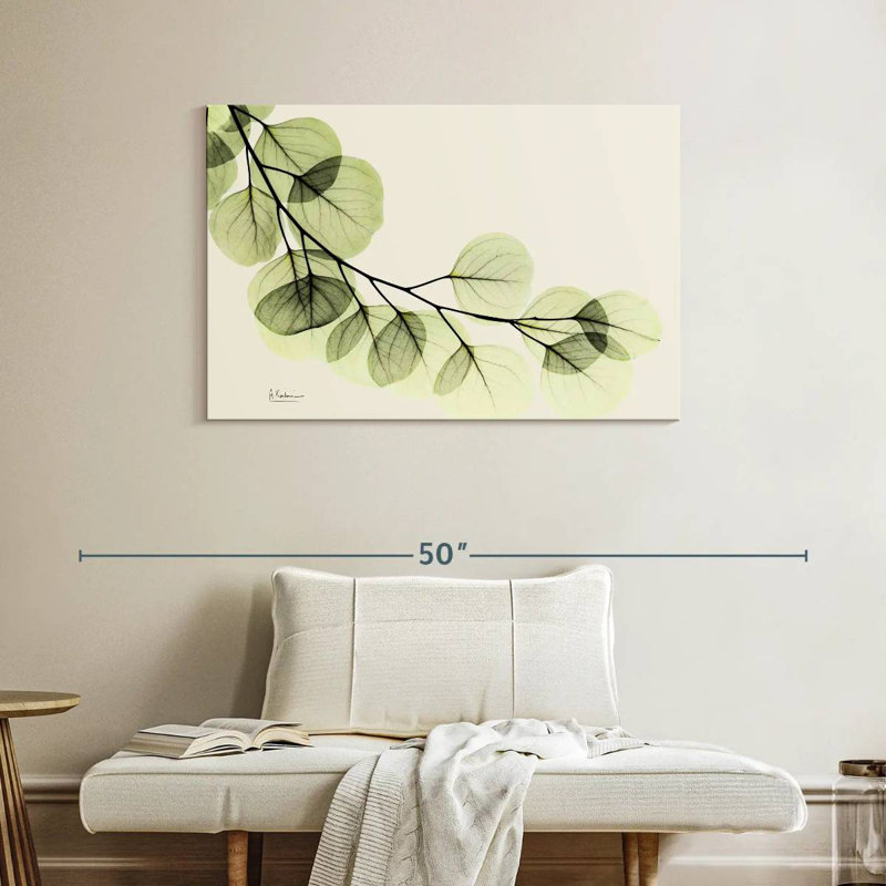 Eucalyptus Harnek Mint, H 26 po x l 39 po