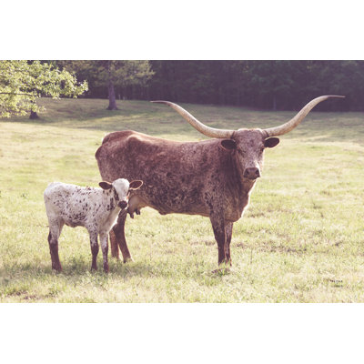 Longhorn Spring by Nathan Larson