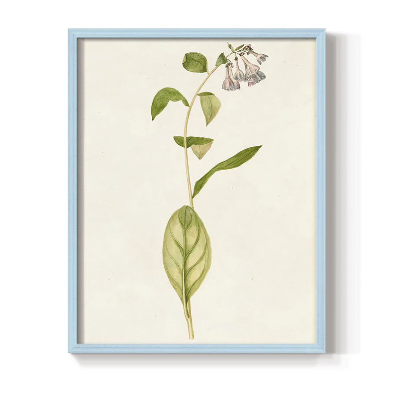 Mauve Garden Flowers IV, reproduction encadrée - bois massif, H 15 po x l 12 po, Bleu