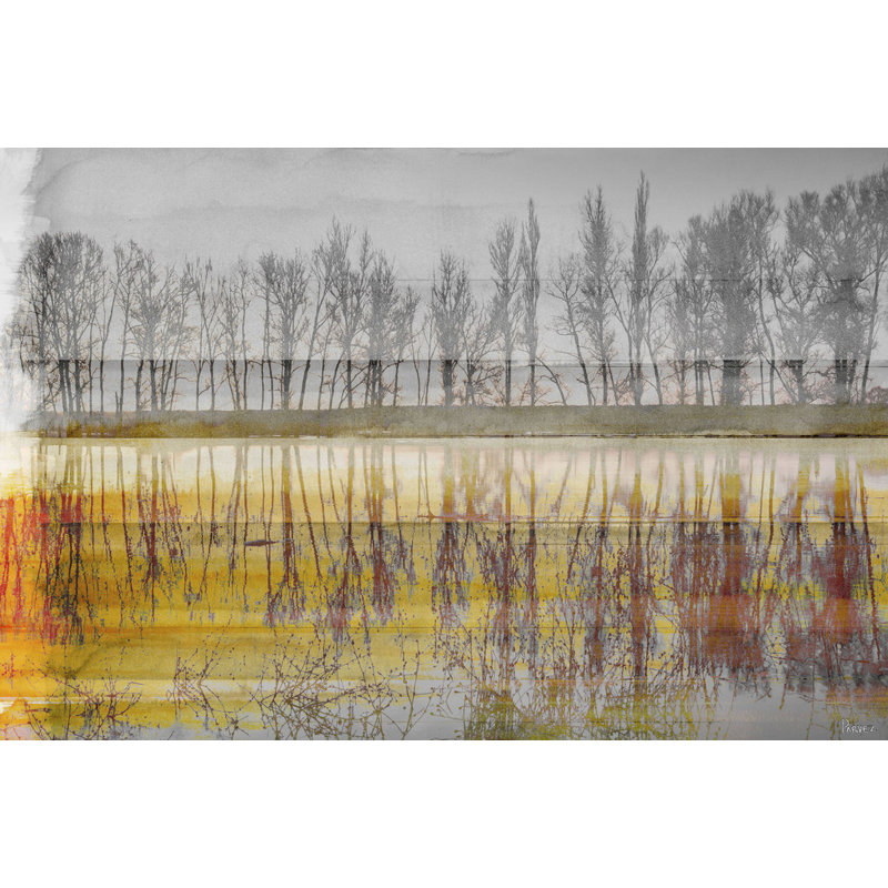 Parvez Taj - Wrapped Canvas Print, 41cm H x 61cm W