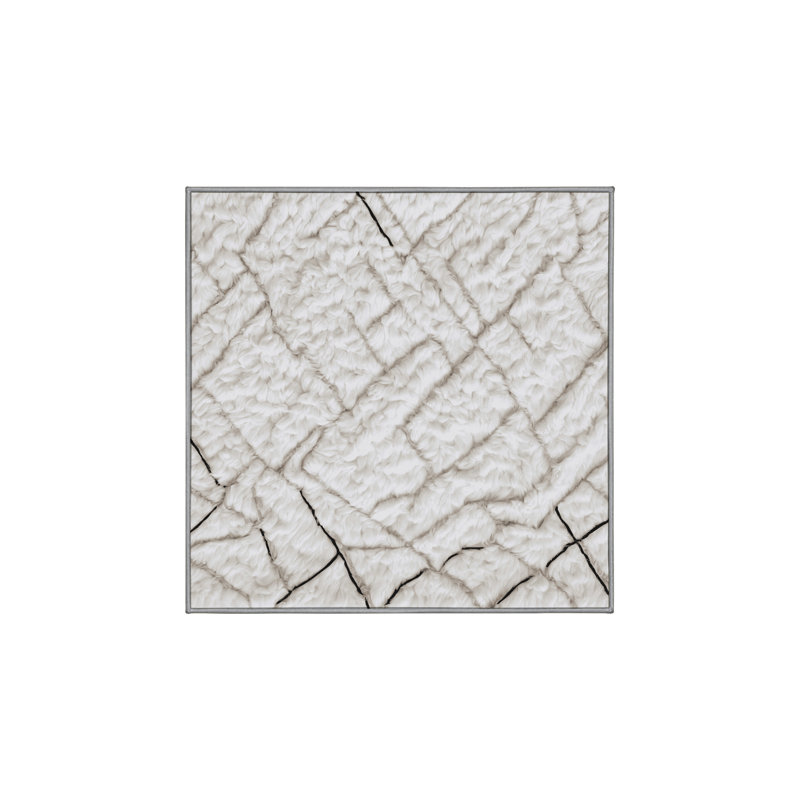 Machine Washable Gray Area Rug, Square 5'