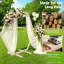 Élégante fête de mariage hexagonale en bois sur fond de tonnelle en bois