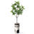 Artificial Tree in Modern Minimalist White Textured Planter Fake Magnolia Tree-104351663