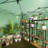8 ft. W x 12 ft. D Pop Up Green House for Outdoors, Portable Greenhouses, Walk-in Greenhouses, Popup Greenhouse Kit, Easy Set Up-122435797